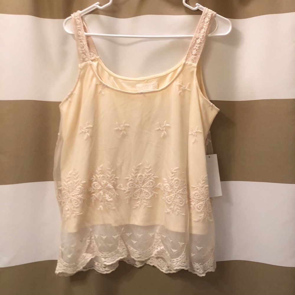 Lace Crop Top